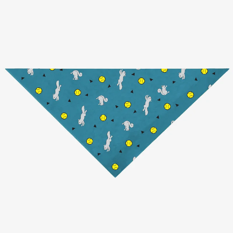 Insect Shield Ball & Squirrel Flea & Tick Bandana For Dogs (Teal)