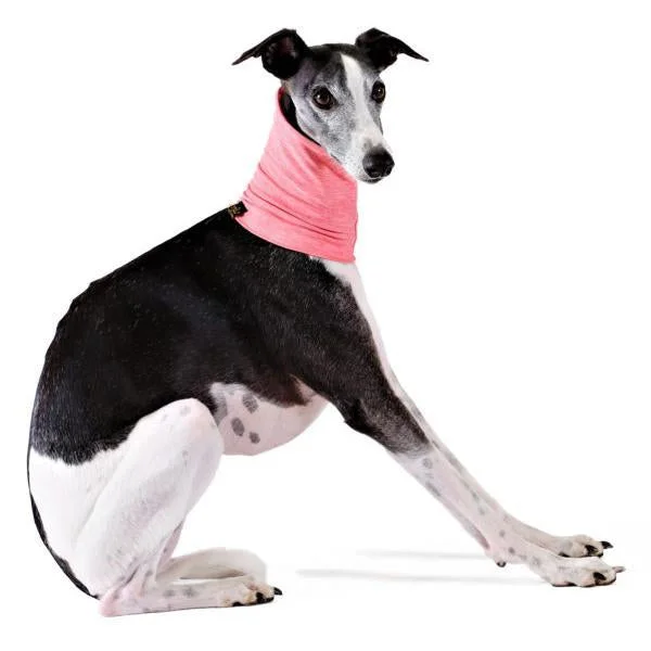 Sun Shield Snood Dog Neck Protector Coral