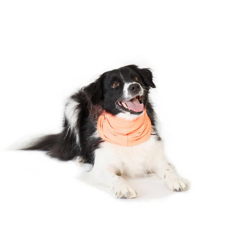 Sun Shield Snood Dog Neck Protector Neon Orange