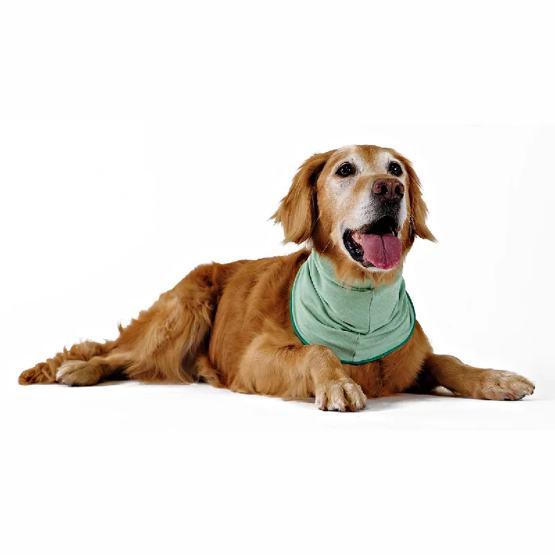 Sun Shield Snood Dog Neck Protector Pistachio