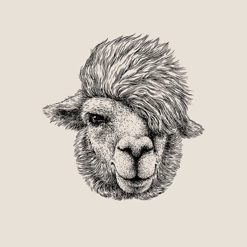 [SA-662] Alpaca Portrait 1 Sketch Stock Art*