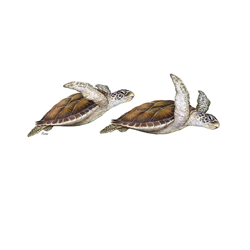 [SA-732] Green Sea Turtles 2 Stock Art