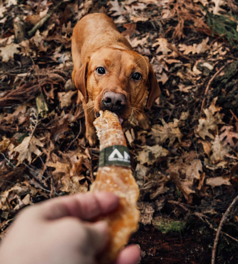 Anco Buffalo Paddywack Dog Chew