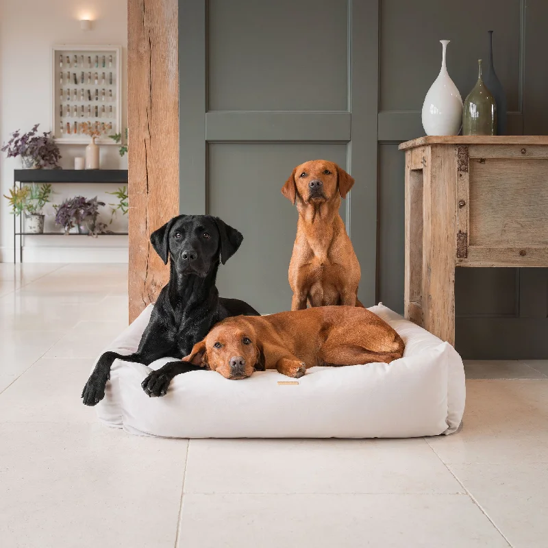 Box Bed In Oyster Velvet by Lords & Labradors