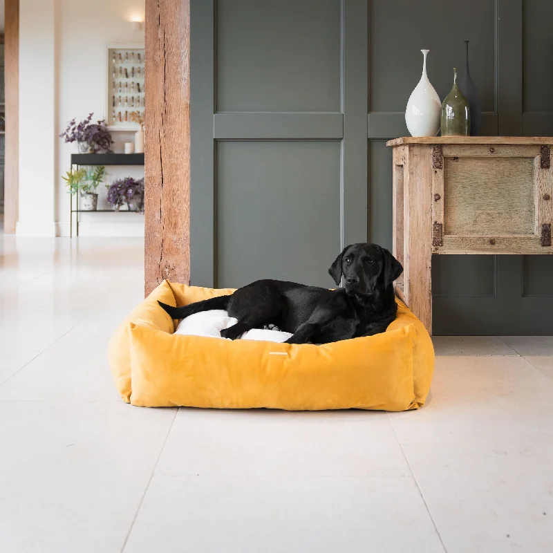 Box Bed In Saffron Velvet by Lords & Labradors