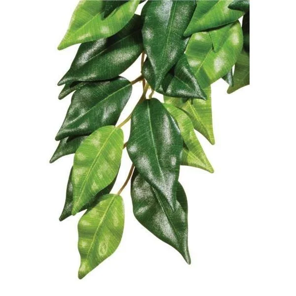 Exo Terra Forest Plant Ficus Medium