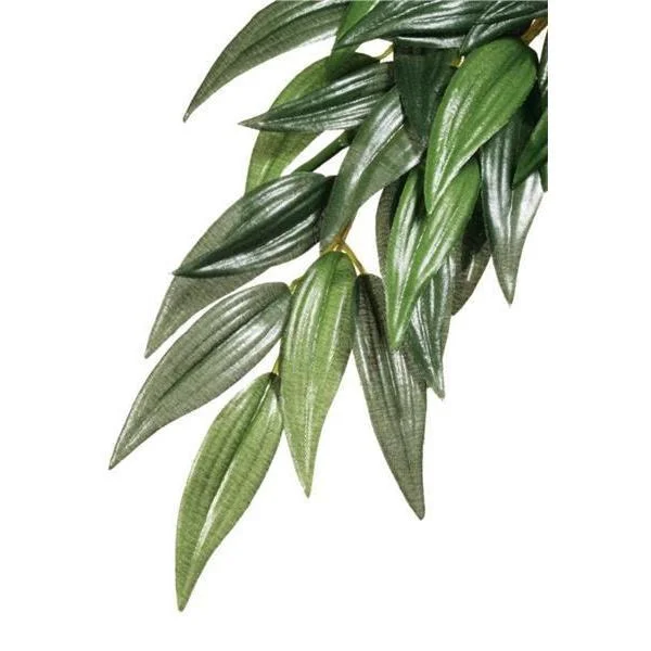 Exo Terra Forest Plant Ruscus Small