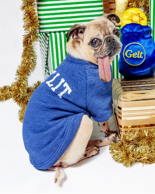 Get Lit Pet Hanukkah Sweatshirt in Blue