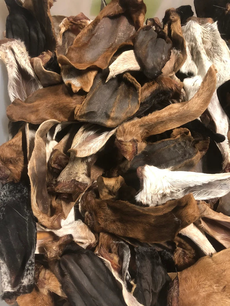 Grand Valley Quail - Dehydrated Goat Ear