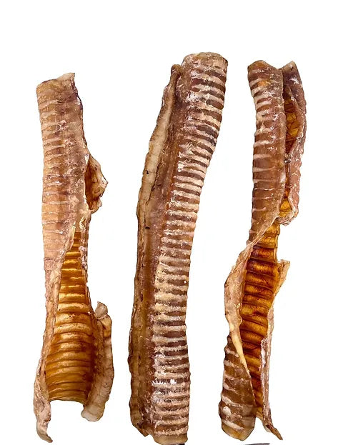 Grand Valley Quail - Dehydrated Split Lamb Trachea