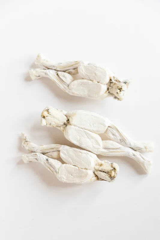 Grand Valley Quail - Freeze Dried Frog Legs