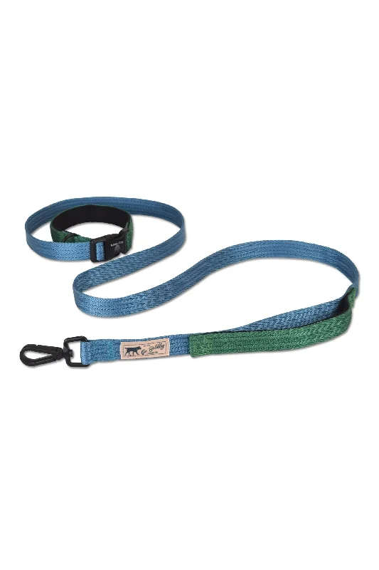 Hamilton Ocean and Green Multi-Functional Leash