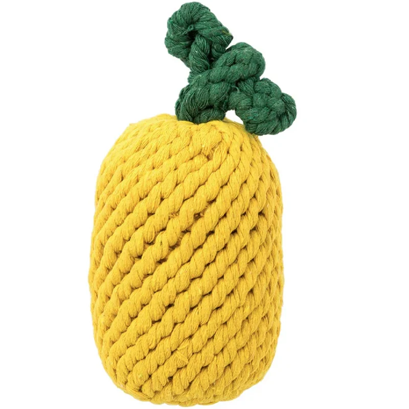 Jax & Bones Pineapple Rope Dog Toy