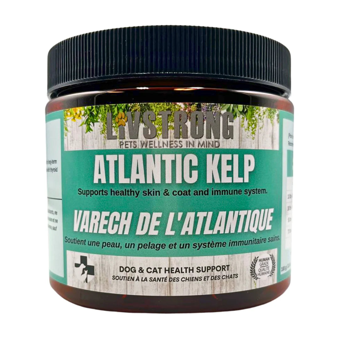 Livstrong - Atlantic Kelp