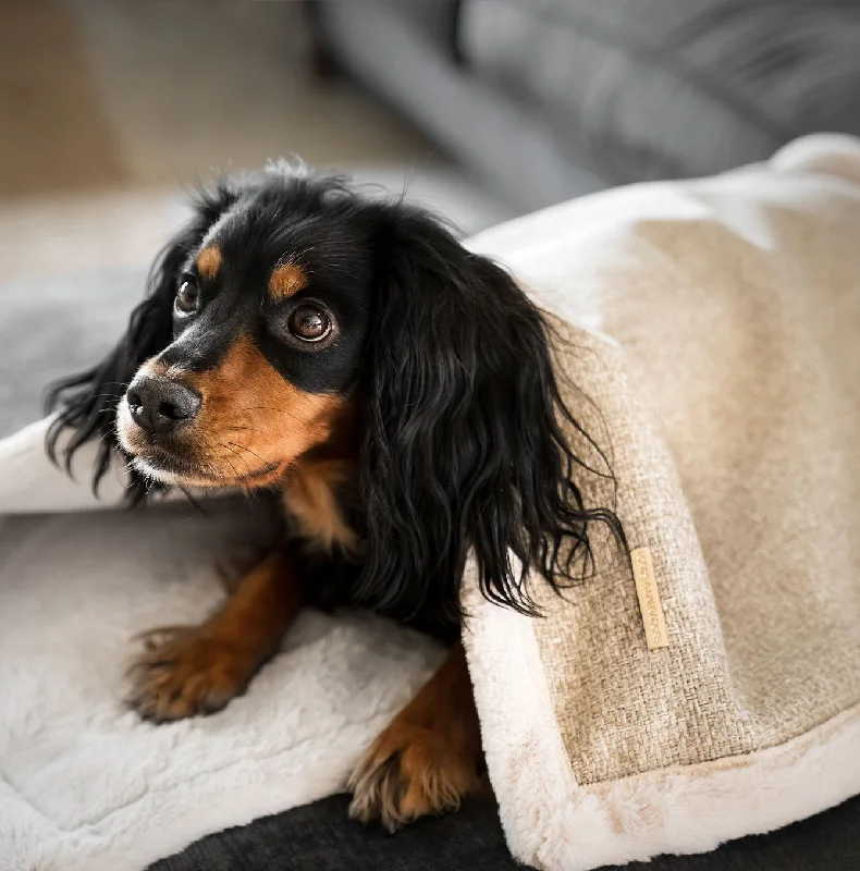 Essentials Herdwick Blanket in Sandstone by Lords & Labradors