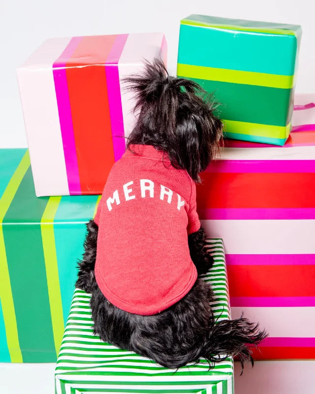 "Merry" Holiday Sweatshirt for Dogs