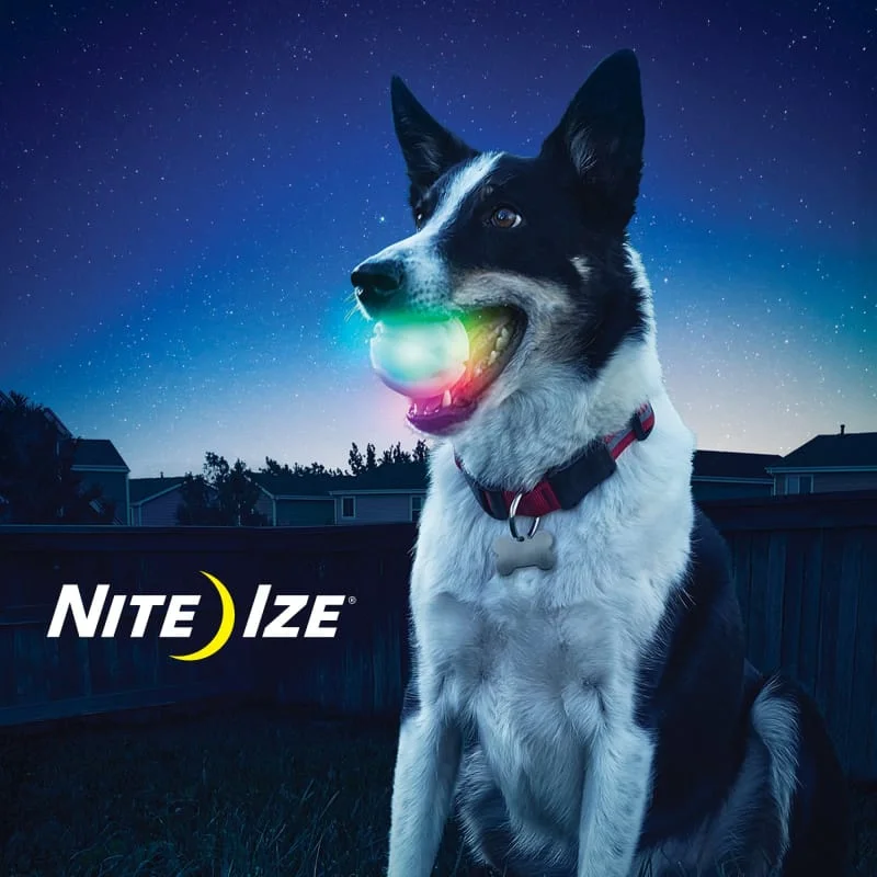 Nite Ize Glowstreak Waterproof Rubber Ball Motion-Acitivated LED Fetch Dog Toy