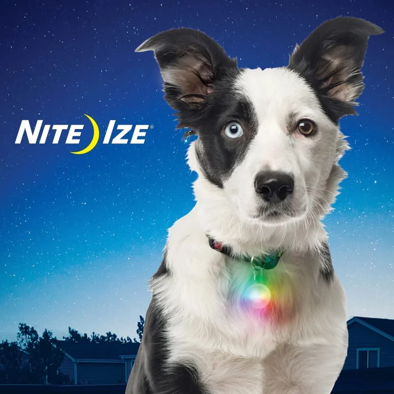 Nite Ize Spot Lit Disc-O Select LED Collar Light