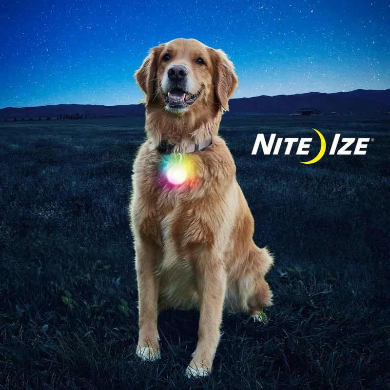 Nite Ize Spot Lit XL Disc-O Select Rechargeable LED Collar Light