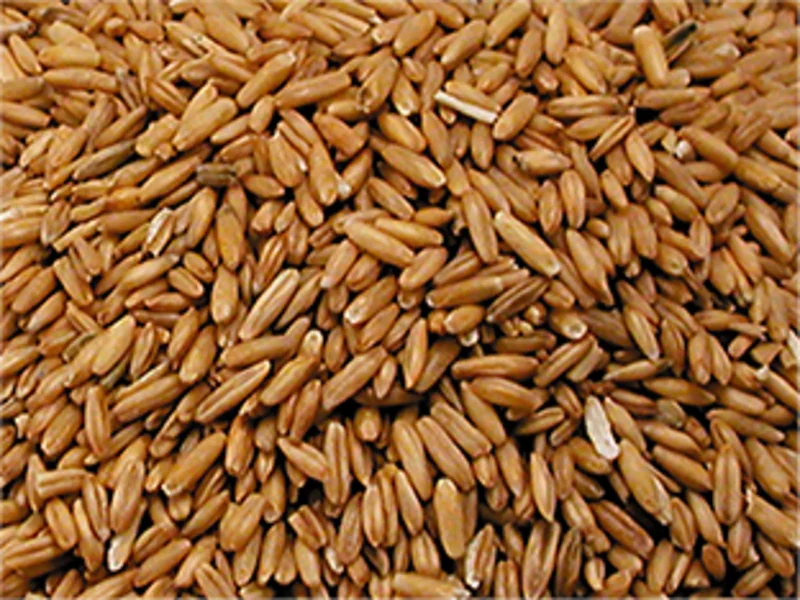 PEELED OATS PRICE PER ONE KG