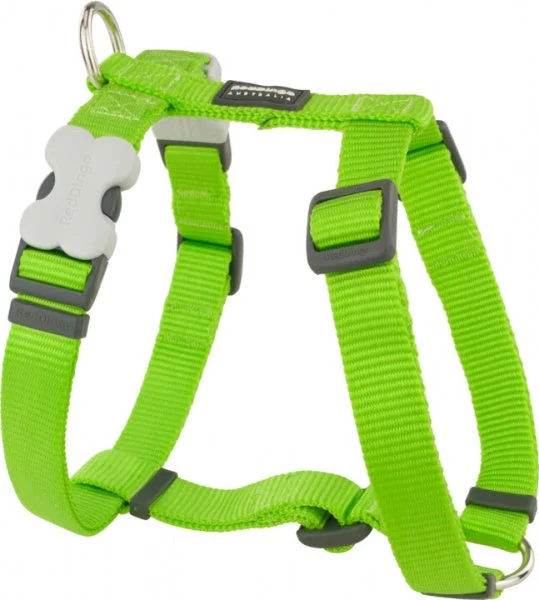 Red Dingo Harness Lime Green Medium 20mm