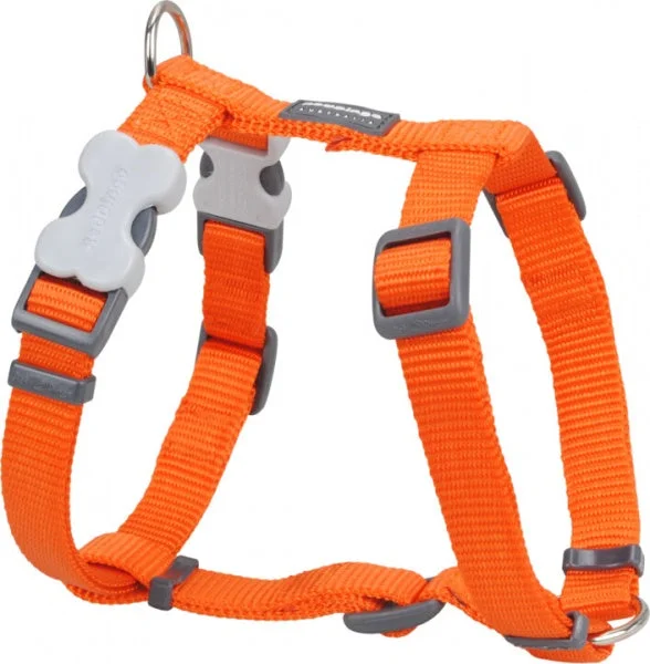 Red Dingo Harness Orange Medium 20mm