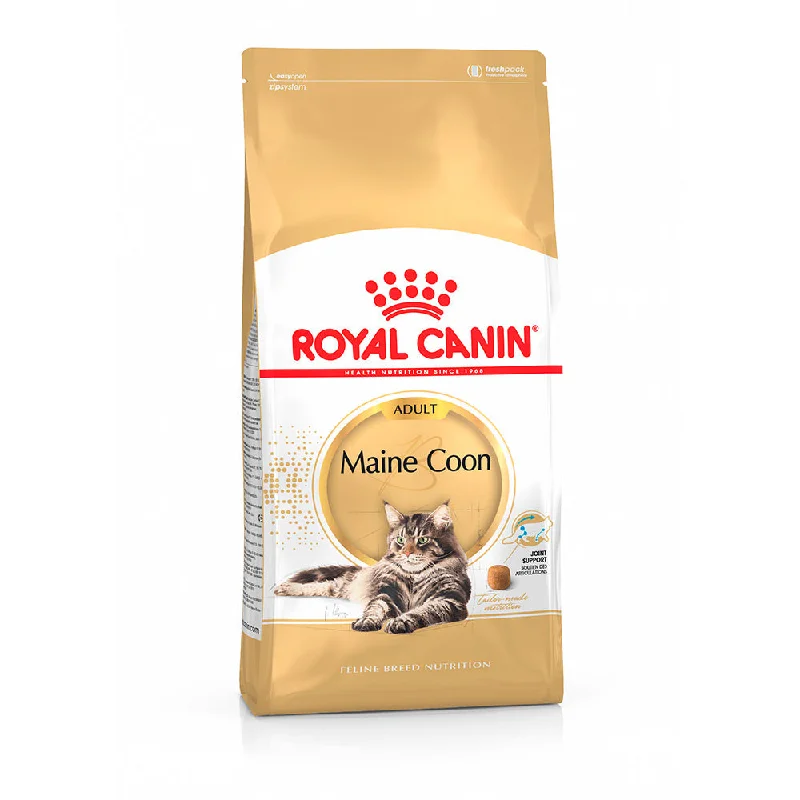 Royal Canin Feline Adult Maine Coon 31