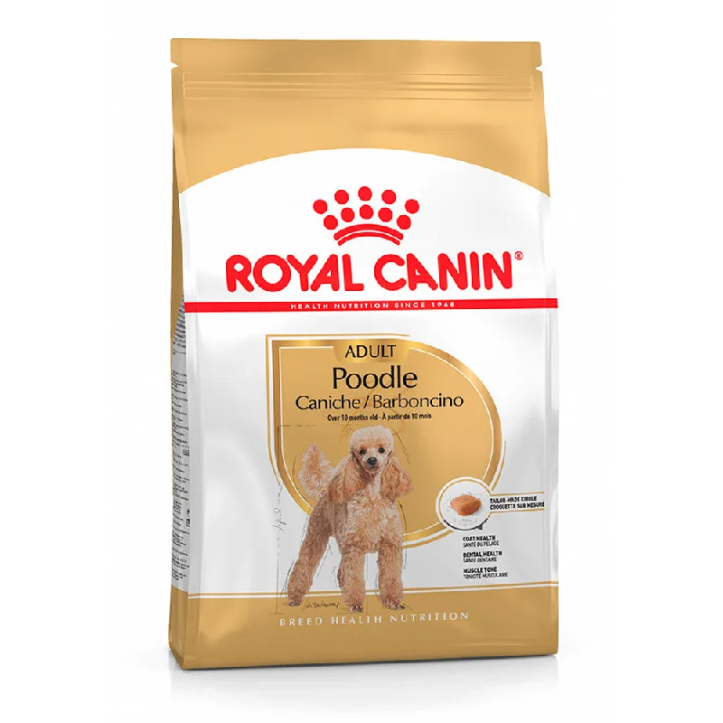 Royal Canin Poodle Adult