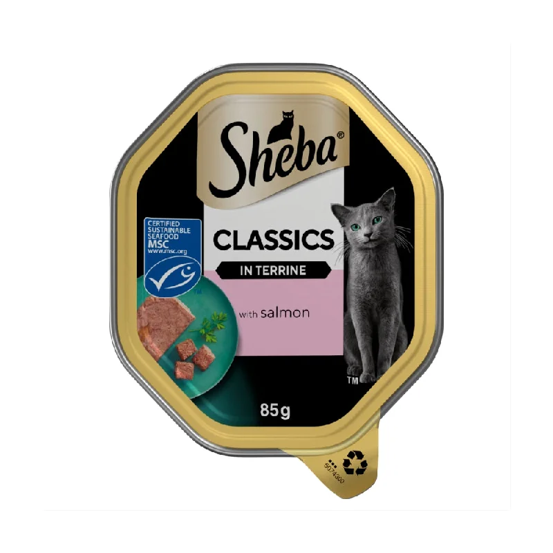 Sheba | Wet Cat Food Tray | Classics | Salmon in Terrine 85g