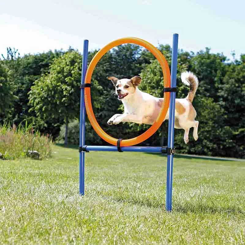 Trixie Dog Agility Ring, Blue & Orange, (3.8 ft x 1.2 inch x 25.5 inch)