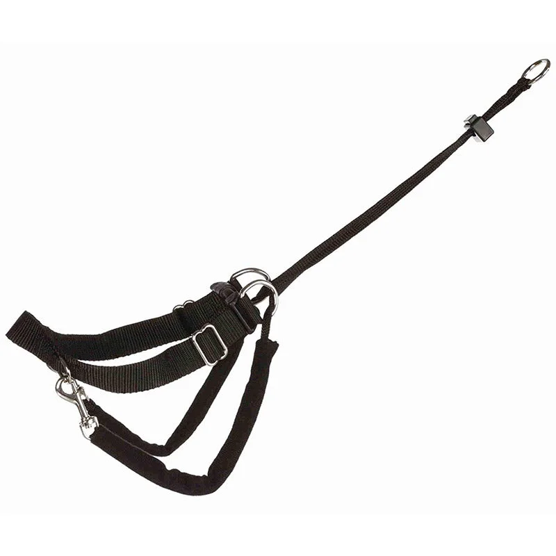 Trixie Lead'n'Walk Basic Training Harness