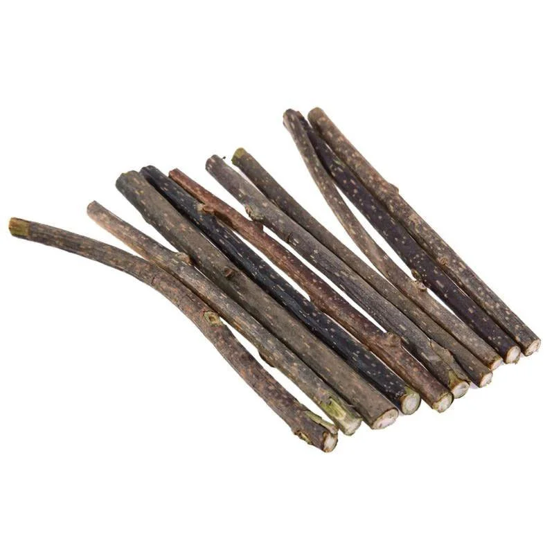 Trixie Matatabi Chewing Sticks, 10 g