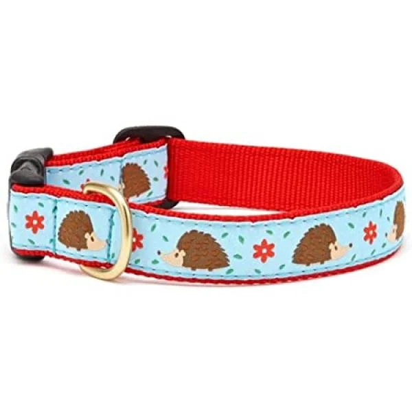 UpCountry D Collar Hedgehog M 1"