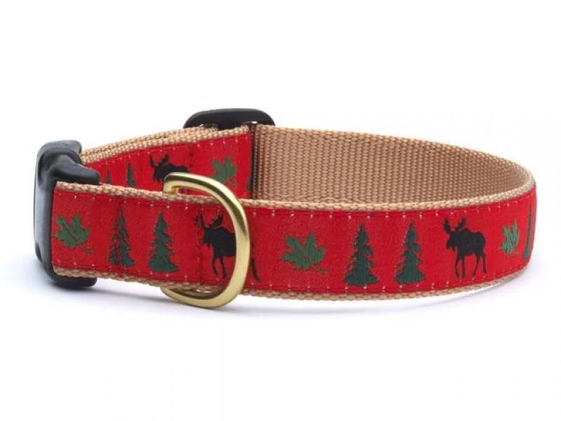 UpCountry D Collar Moose M 1"