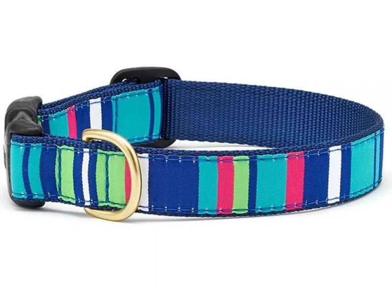 UpCountry D Collar Sutton Stripe M 1"