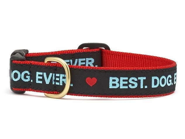 Up Country Best Dog Ever Collar