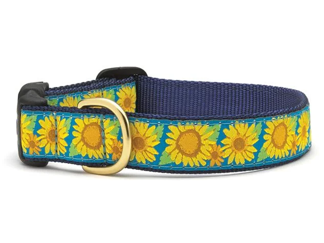 Up Country Bright Sunflower Collar