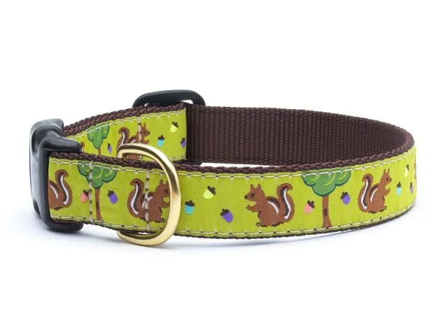 Up Country Nuts Collar